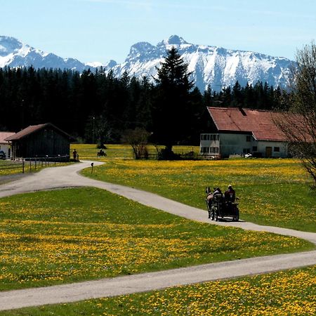 Haus Allgaeu Ruh Lägenhet Görisried Rum bild