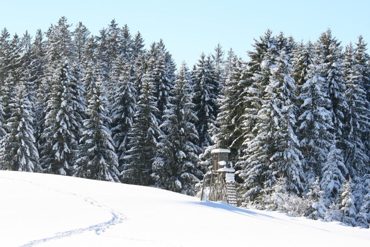 Haus Allgaeu Ruh Lägenhet Görisried Exteriör bild