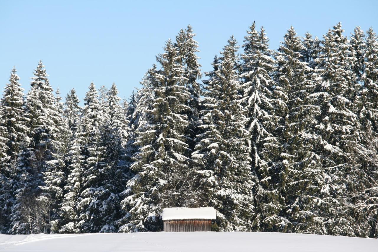 Haus Allgaeu Ruh Lägenhet Görisried Exteriör bild