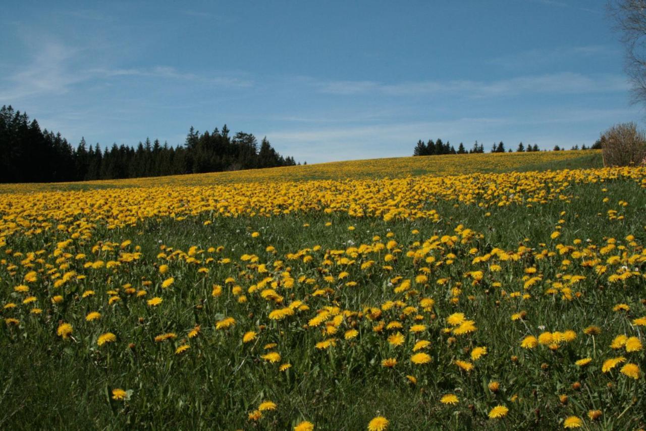 Haus Allgaeu Ruh Lägenhet Görisried Exteriör bild