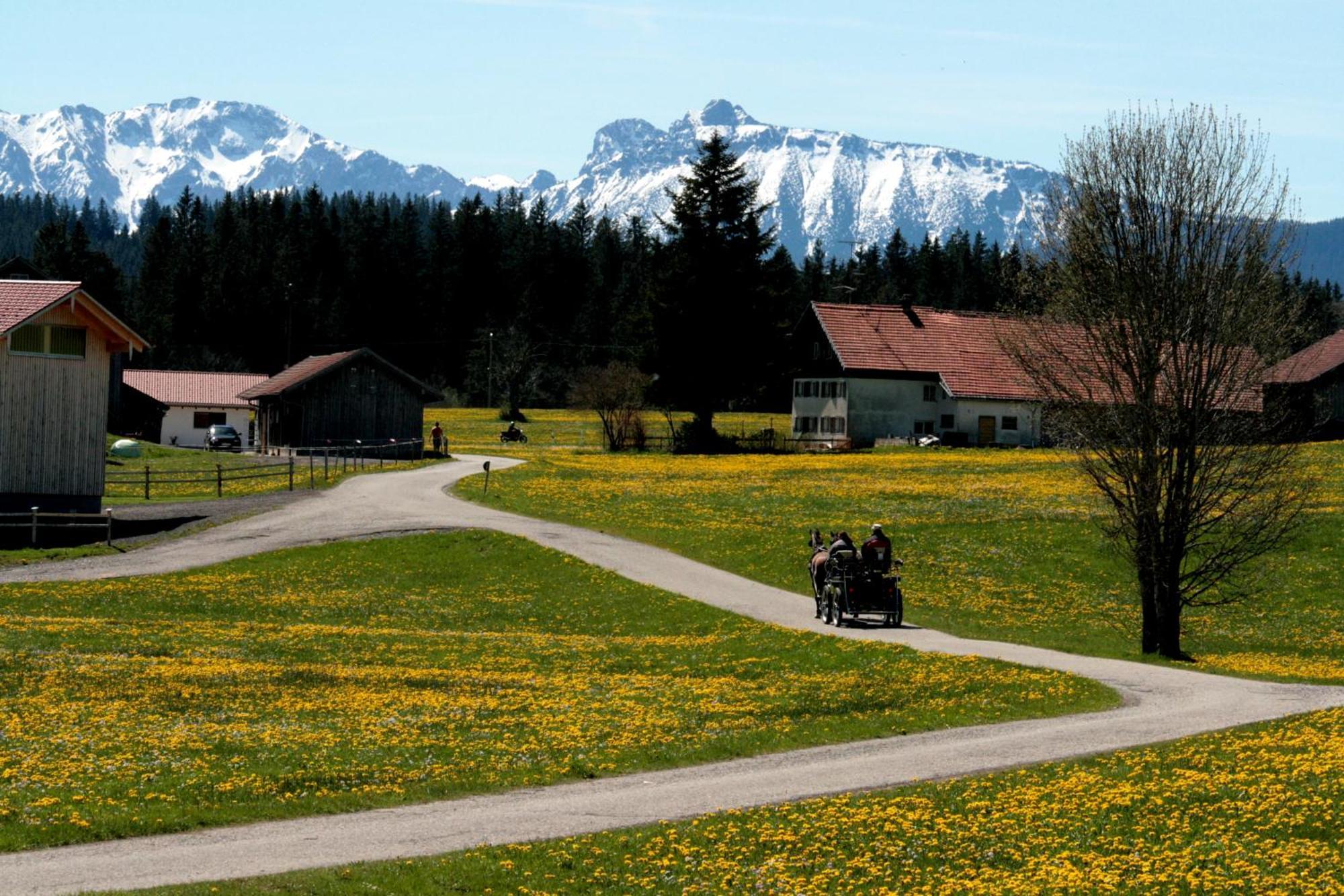 Haus Allgaeu Ruh Lägenhet Görisried Rum bild